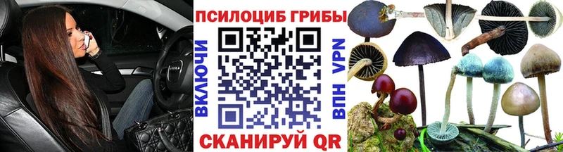 Псилоцибиновые грибы прущие грибы  Купить  Кинешма 